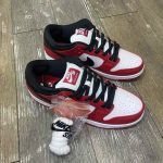 Nike SB Dunk  LOW